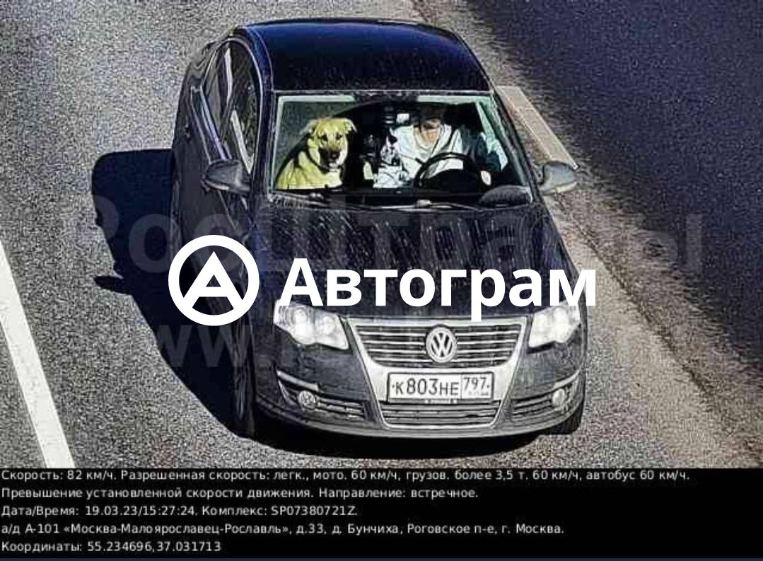 Информация об авто Volkswagen Passat с гос. номеру К803НЕ797